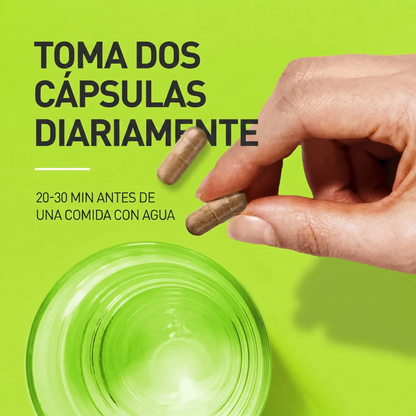 QUEMADOR DE GRASA CON EXTRACTO DE TÉ VERDE — Zevrion™ 🚚 ENVÍO GRATIS