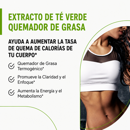 QUEMADOR DE GRASA CON EXTRACTO DE TÉ VERDE — Zevrion™ 🚚 ENVÍO GRATIS