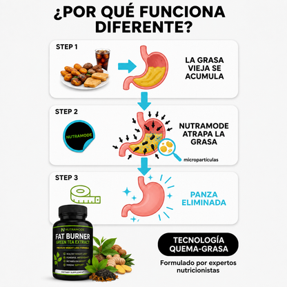 QUEMADOR DE GRASA CON EXTRACTO DE TÉ VERDE — Zevrion™ 🚚 ENVÍO GRATIS